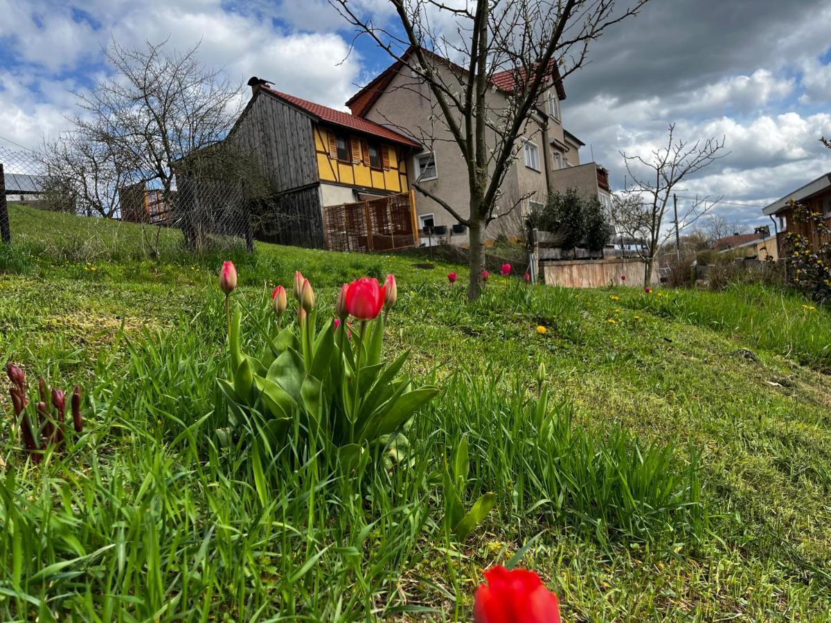 Ferienwohnung Makowitschka Kreischa Exterior foto